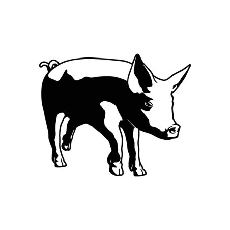 Pig Vinyl Decal Sticker V Decalshouse