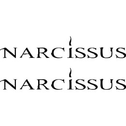Narcissus Band Stickers – Metalcore Decals (2-Pack)