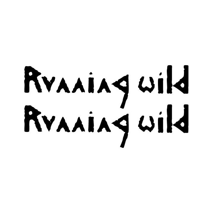 Running Wild Stickers – Pirate Metal Logo Decals (2-Pack)