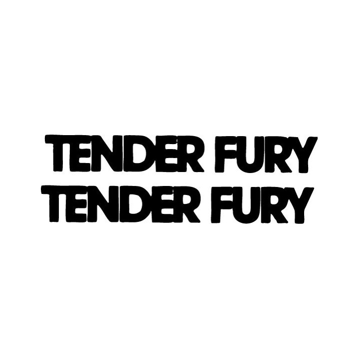 Tender Fury Stickers – Punk Rock Band Decals (2-Pack)