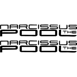 The Narcissus Pool Stickers – Band Decals (2-Pack)