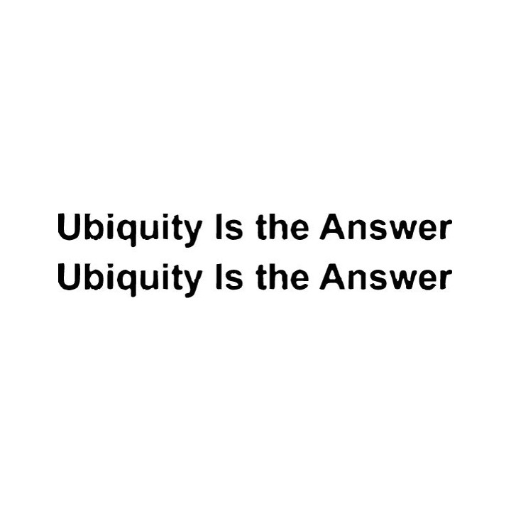 Ubiquity Is the Answer Stickers – Idlewild Decals (2-Pack)