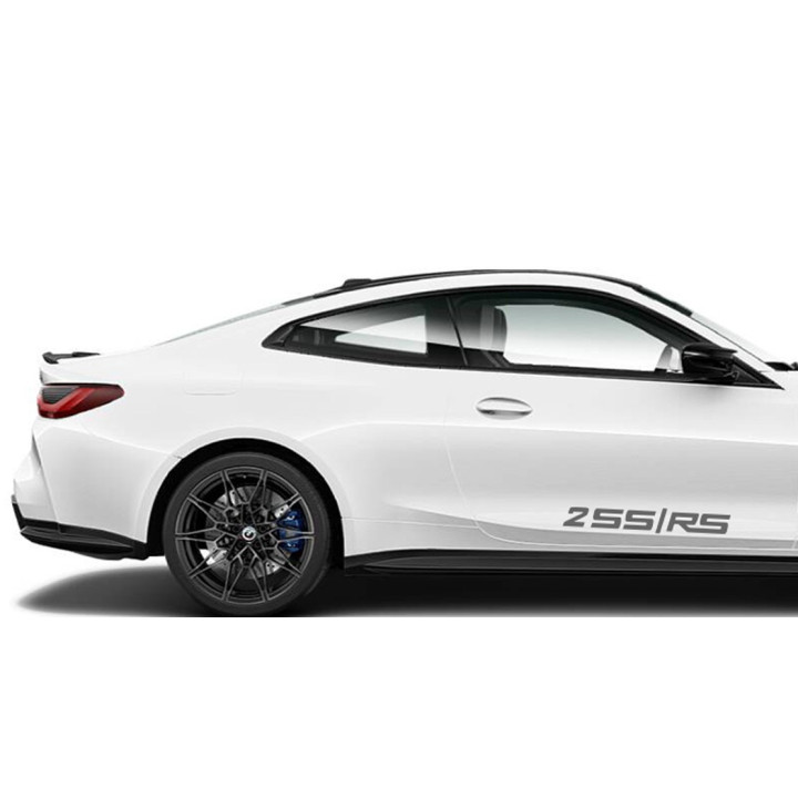 Buy 2ss Rs Logo Sticker Online