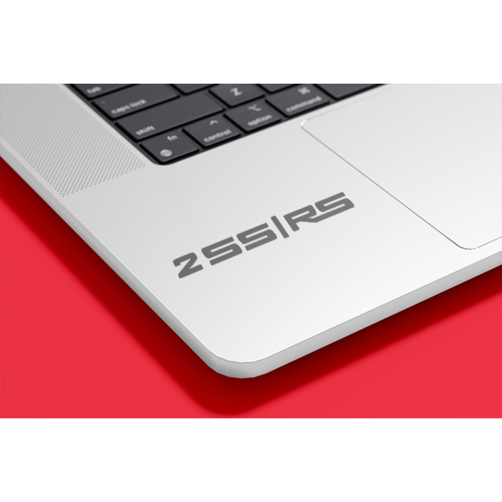 Buy 2ss Rs Logo Sticker Online