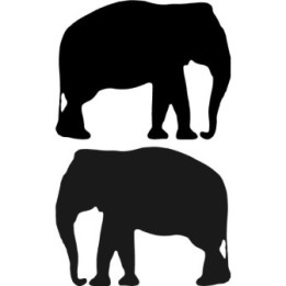 Buy Adult Elephant Decal Sticker Online