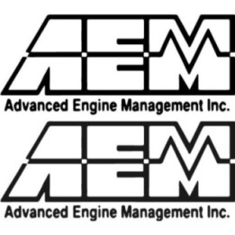 Buy Aem 1 Sticker Online