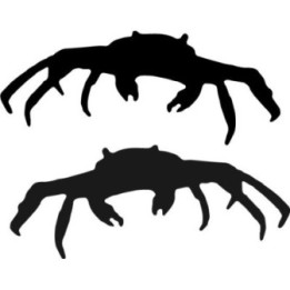 Crab Stickers – Sea Life Ocean Animal Decals (2-Pack)