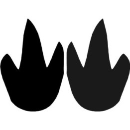 Buy Agouti Paw Print Foot Track Decal Sticker Online