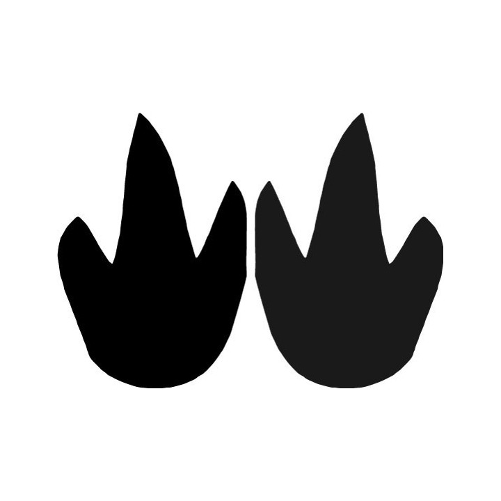 Buy Agouti Paw Print Foot Track Decal Sticker Online