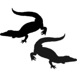 Buy Alligator Decal Sticker Online