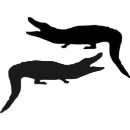 Buy Alligator Eating Something Decal Sticker Online