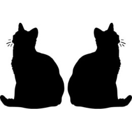 Buy American Shorthair Cat Sticker Online