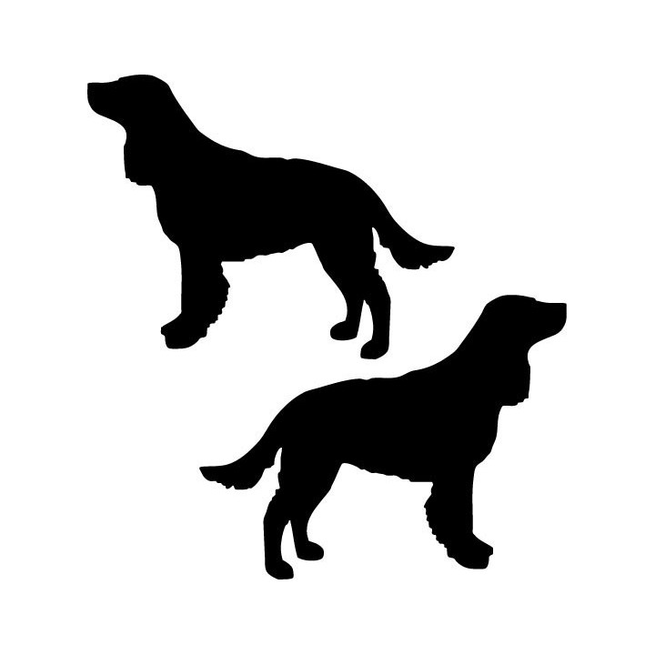 Buy American Water Spaniel Dog Sticker Online