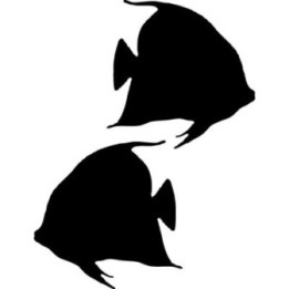 Angelfish Stickers – Tropical Fish Decals (2-Pack)