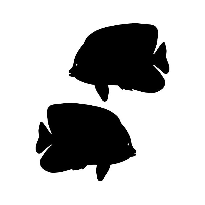 Angelfish Stickers – Tropical Fish Ocean Decals (2-Pack)