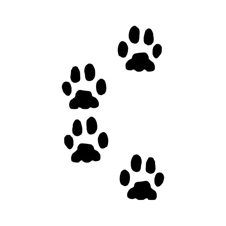 Buy Animal Paw Prints Decal Sticker Online