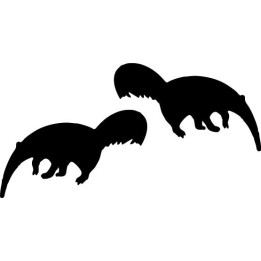 Buy Anteater Decal Sticker Online