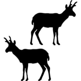 Buy Antelope Silhouette Decal Sticker Online