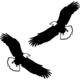 Buy Arend 6 Decal Sticker 1 Online
