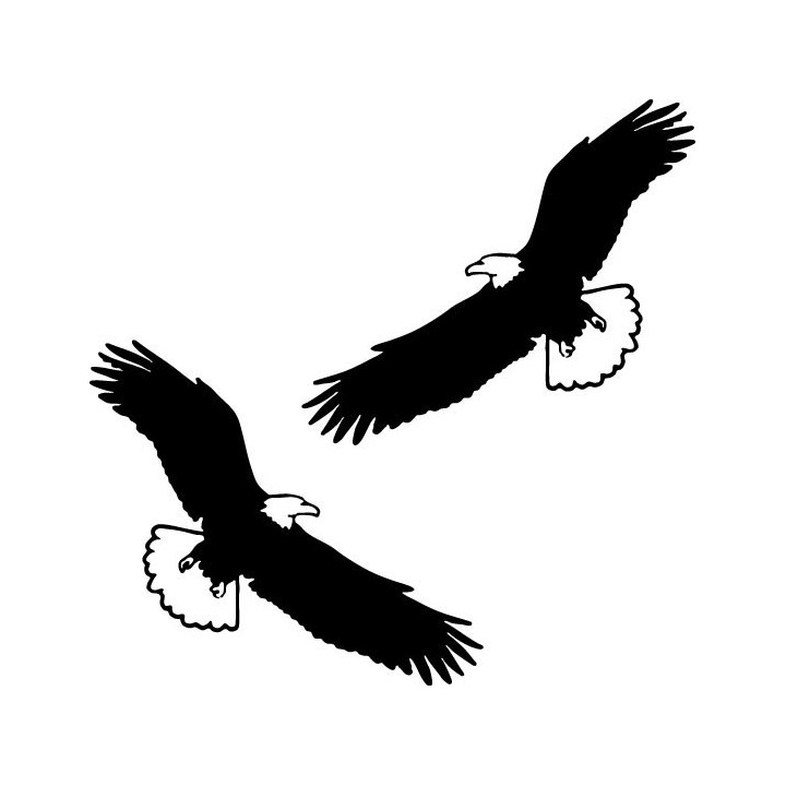 Buy Arend 6 Decal Sticker 1 Online