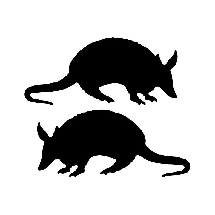 Buy Armadillo Decal Sticker Online