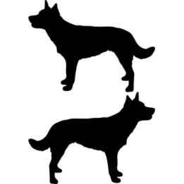 Buy Australian Kelpie Dog Sticker Online