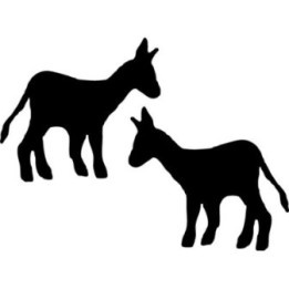 Baby Donkey Stickers – Foal Farm Animal Decals (2-Pack)