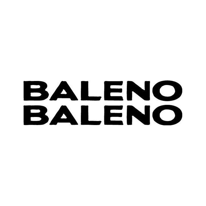 Buy Baleno Decal Sticker Online