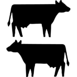 Cow Stickers – Farm Animal Silhouette Decals (2-Pack)