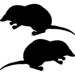 Buy Basic Mole Decal Sticker Online