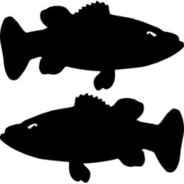 Buy Bass Fish Sticker Online
