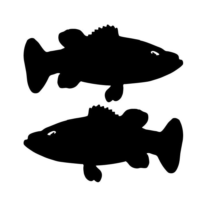 Buy Bass Fish Sticker Online