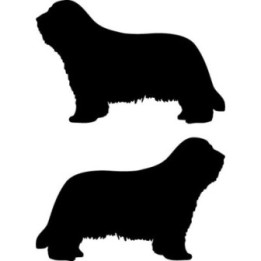 Buy Bearded Collie Dog Sticker Online