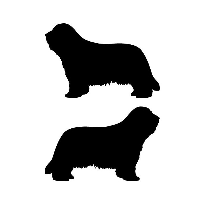 Buy Bearded Collie Dog Sticker Online