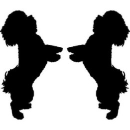 Buy Bichon Frise Dog 2 Sticker Online
