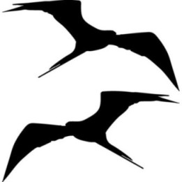 Buy Bird Soaring Sticker Online