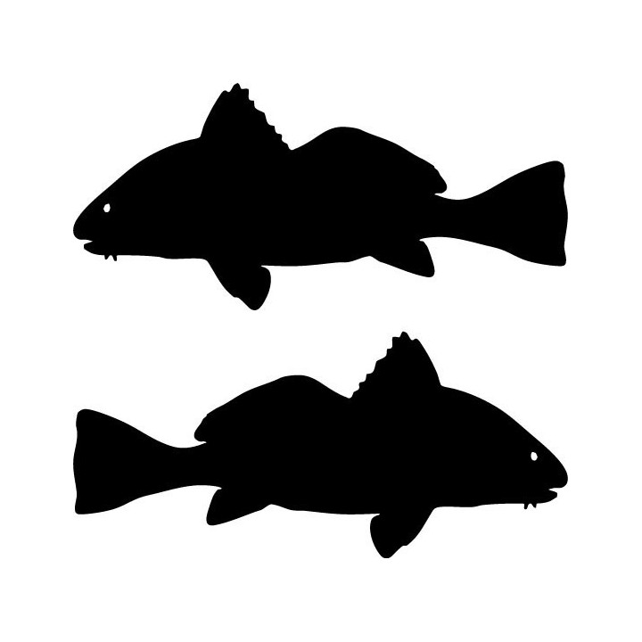 Buy Black Drum Fish Sticker Online