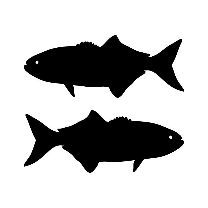 Buy Bluefish Fish Sticker Online