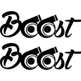 Buy Boost Vinyl Decal Sticker Online