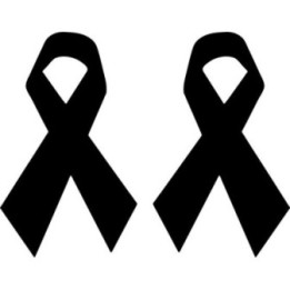 Awareness Ribbon Stickers – Cancer Support Decals (2-Pack)