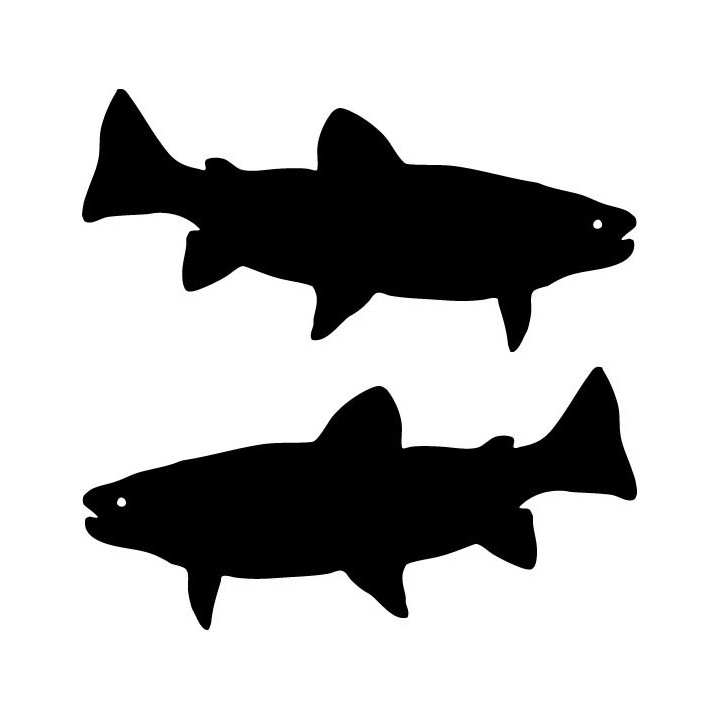 Buy Brook Trout Fish Sticker Online