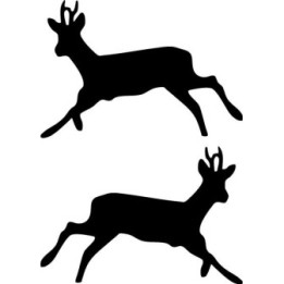 Buy Buck V16 Decal Sticker Online