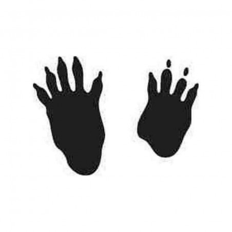 Buy Porcupine Tracks Paw Print Decal Sticker Online