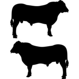 Bull Silhouette Stickers – Cattle Farm Ranch Decals (2-Pack)