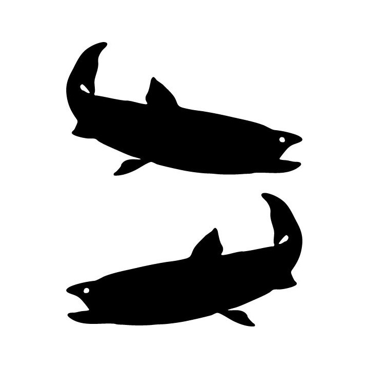 Buy Bull Trout Fish Sticker Online