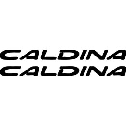 Buy Caldina Decal Sticker Online