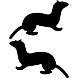 Buy Cartoon Ferret Decal Sticker Online