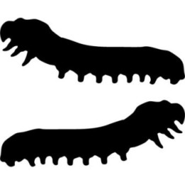 Buy Caterpillar Decal Sticker Online