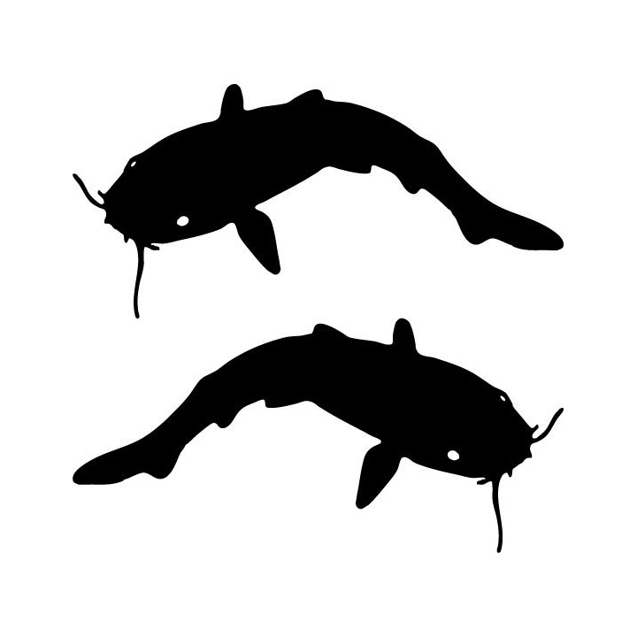 Buy Catfish Fish Sticker Online