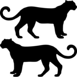 Buy Cheetah Silhouette Decal Sticker Online
